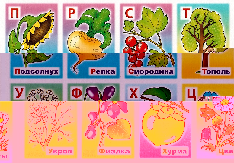 Лото Азбука растений 0a12c7c33e4f картинка